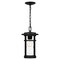 Quoizel Uma 1-Light Matte Black Mini Pendant UMA1508MBK - alternate 5